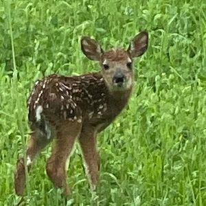 Meet your Posher, Eric